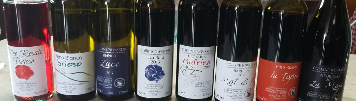 I vini degustati