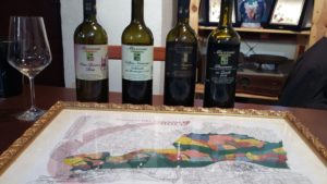 presentazione vini cantina mazzoni